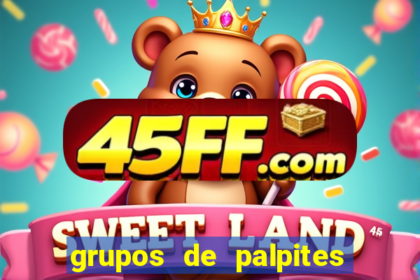 grupos de palpites de futebol whatsapp